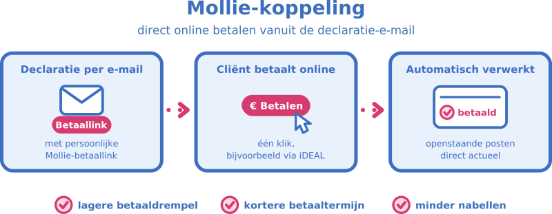 mollie HAMMOCK advocaten declaratie
